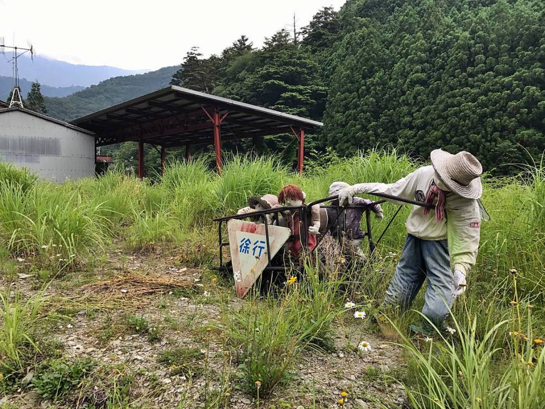 Bu köye gelenler gözlerine inanamıyor: Tüyler ürperten manzara! Hepsi yetişkin insan boyutlarında 15